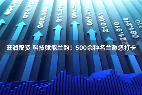 旺润配资 科技赋能兰韵！500余种名兰邀您打卡